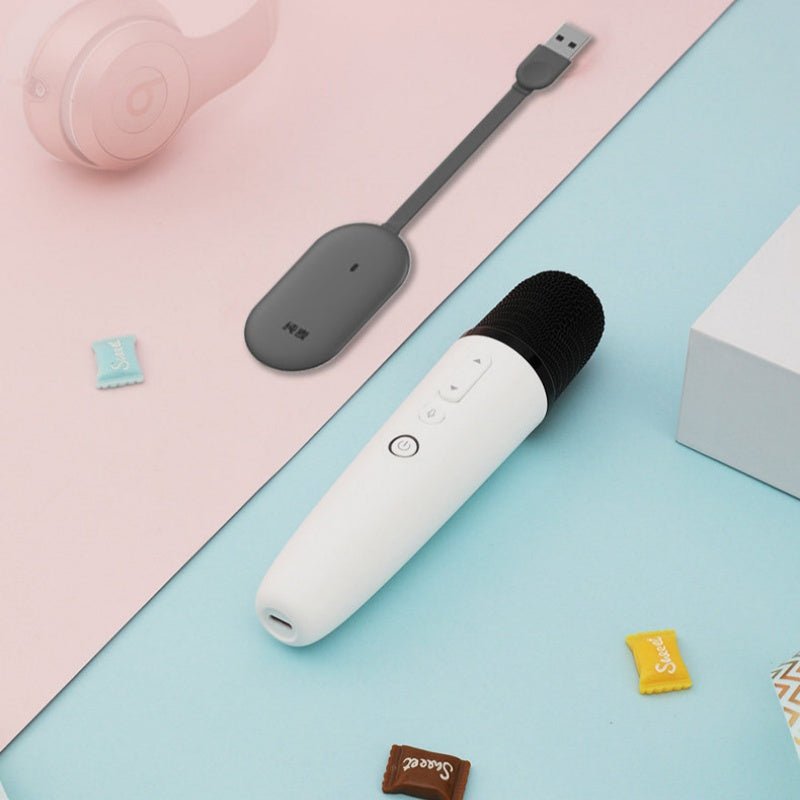BYD Wireless Microphone Karaoke Mic for BYD