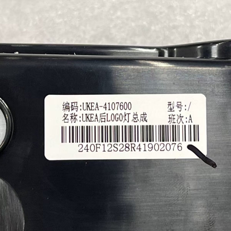 Special LED Tail Logo Light for BYD Sealion 7