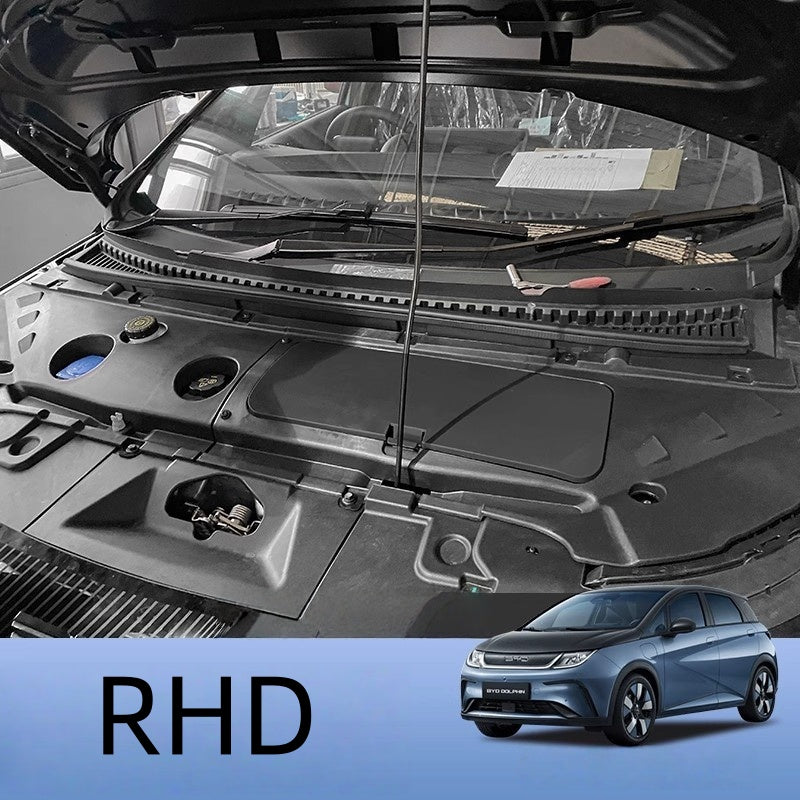 For BYD Dolphin Frunk - Nice BYD