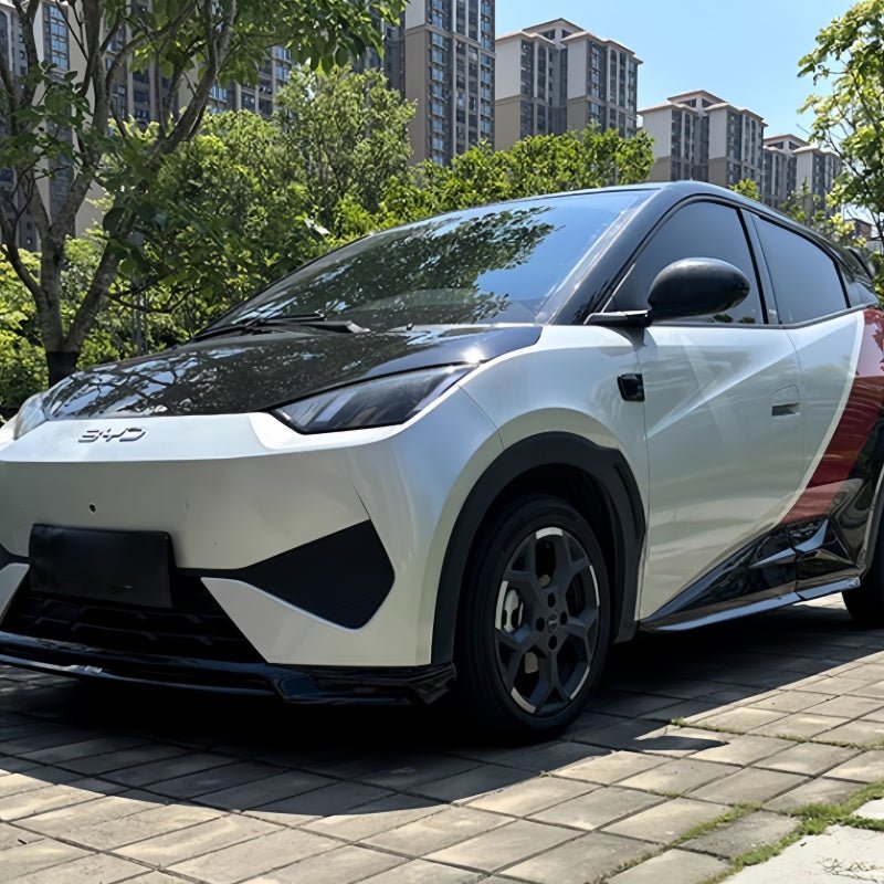 Full Body Kit for BYD Dolphin Surf/Seagull - Nice BYD
